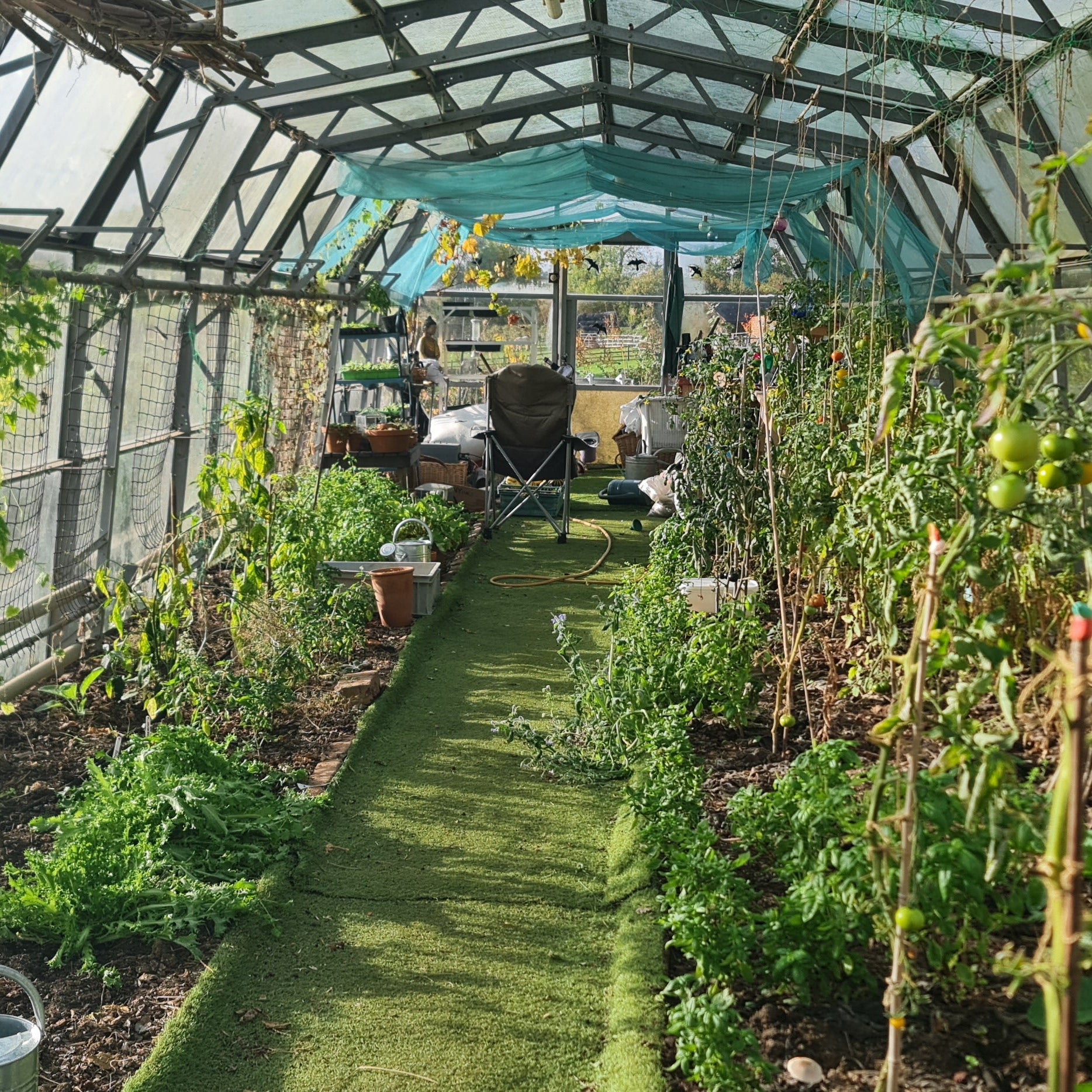 Greenhouse with plants and gardening equipment