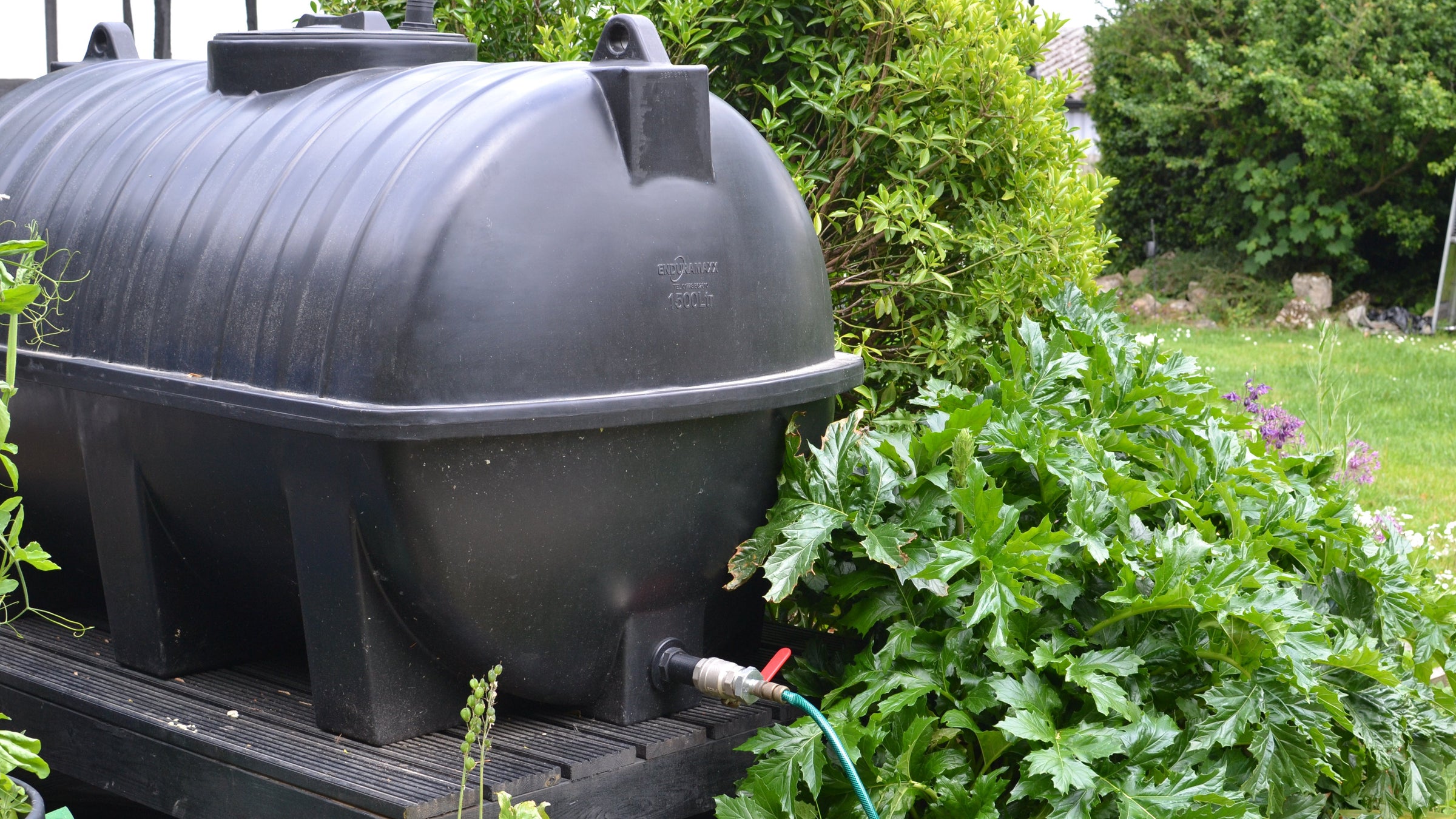 Black rainwater harvesting tank in a garden setting with greenery.